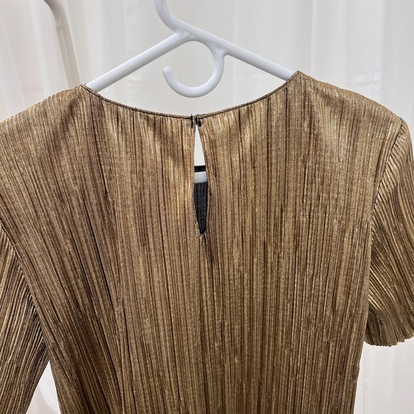 Pleated Gold Zara Dress - Picture 5 of 6